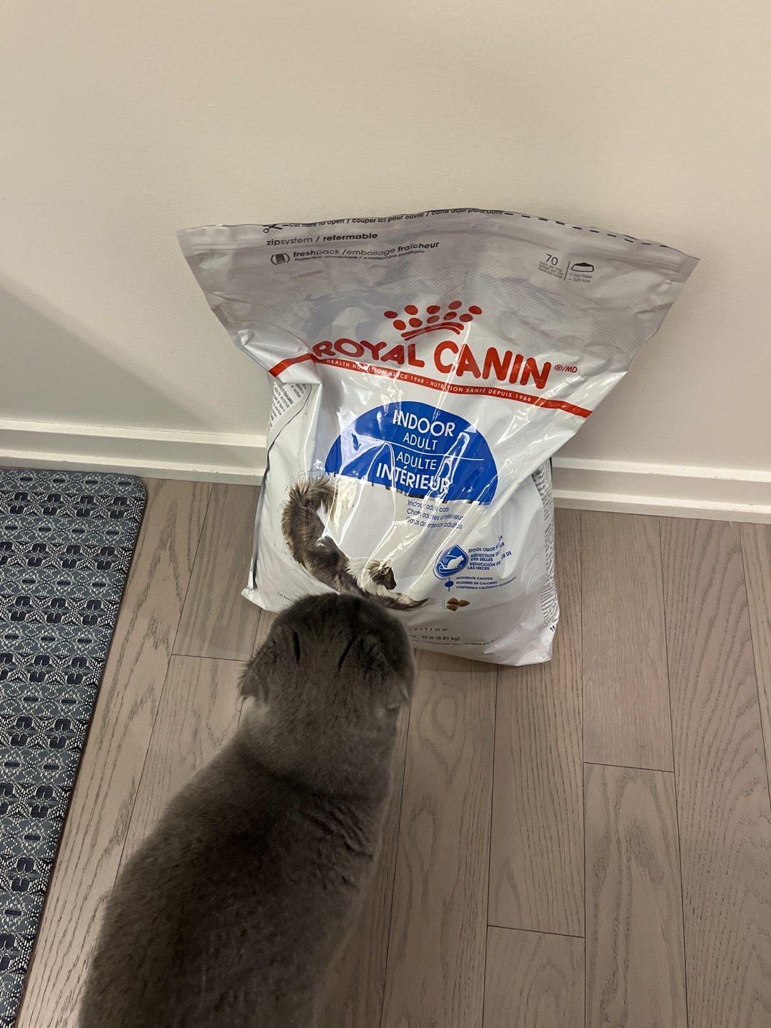 Royal canin dry cat food thumbnail
