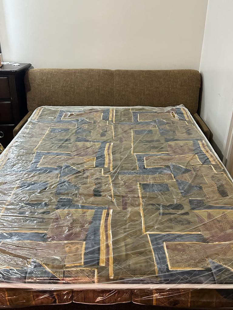 Leon’s Sofa Cum bed and mattress in good condition $199 only - photo 2