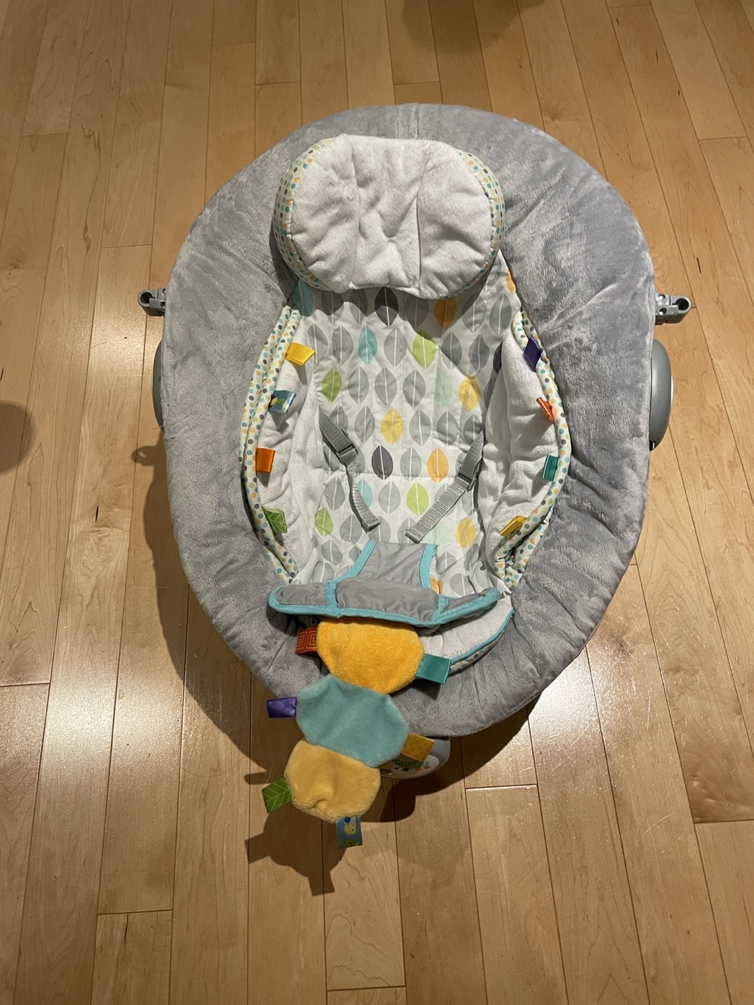 Taggie Baby Bouncer - photo 2
