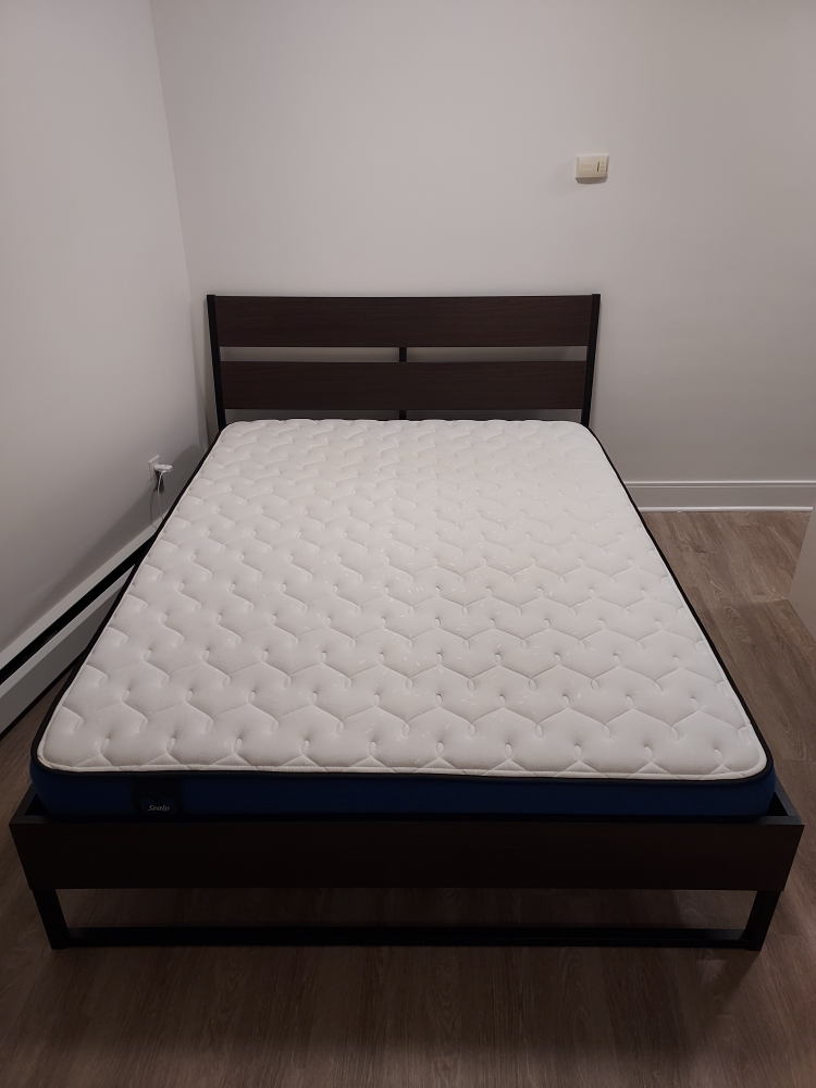 Queen Mattress (Sealy) and Bedframe (IKEA)