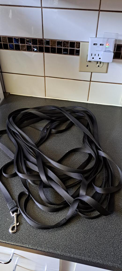 Training lead