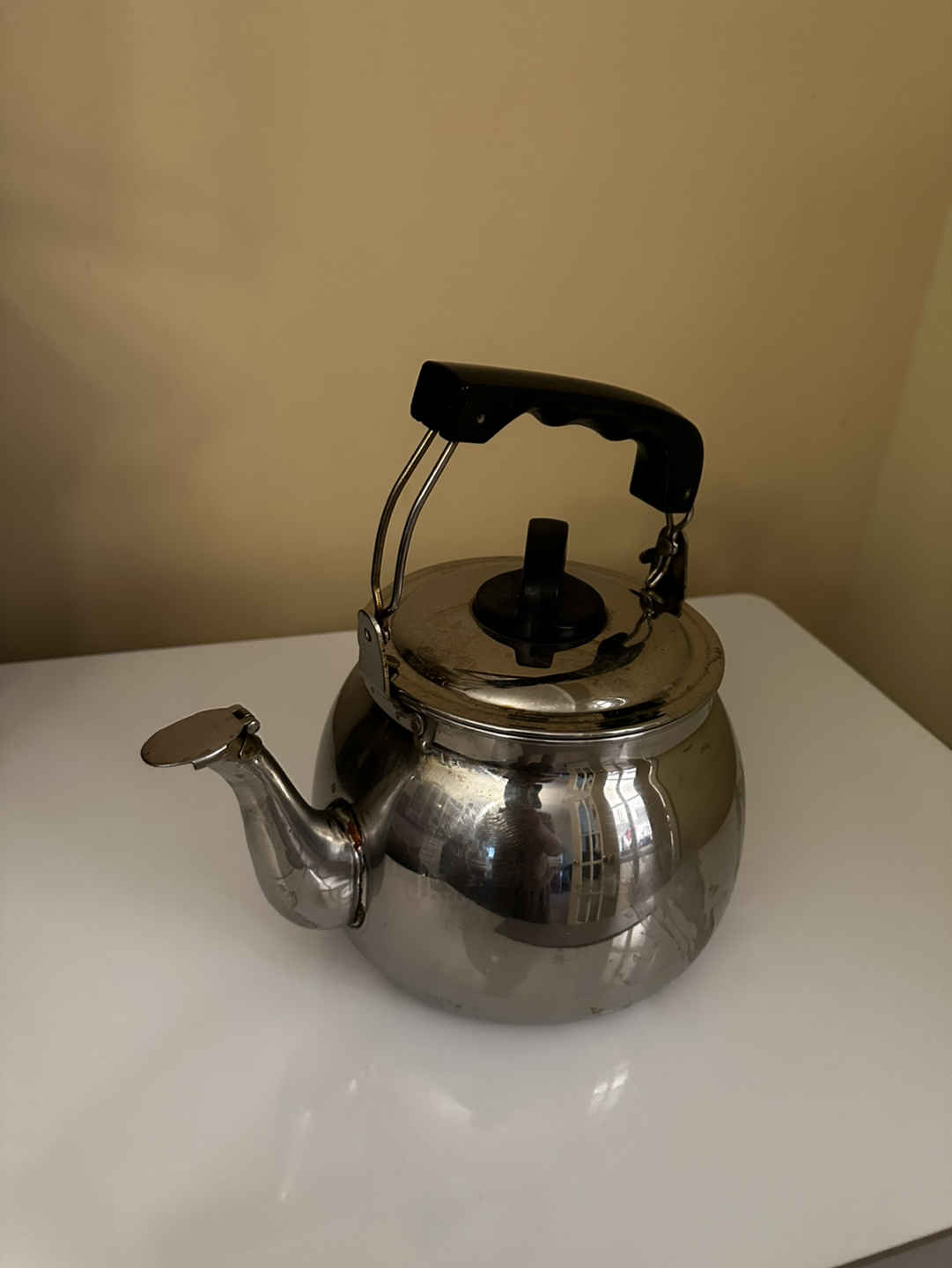 Large Stainless Steel Kettle thumbnail