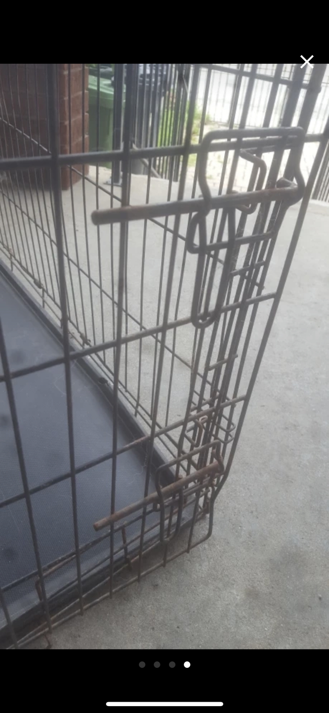 Long case for dog