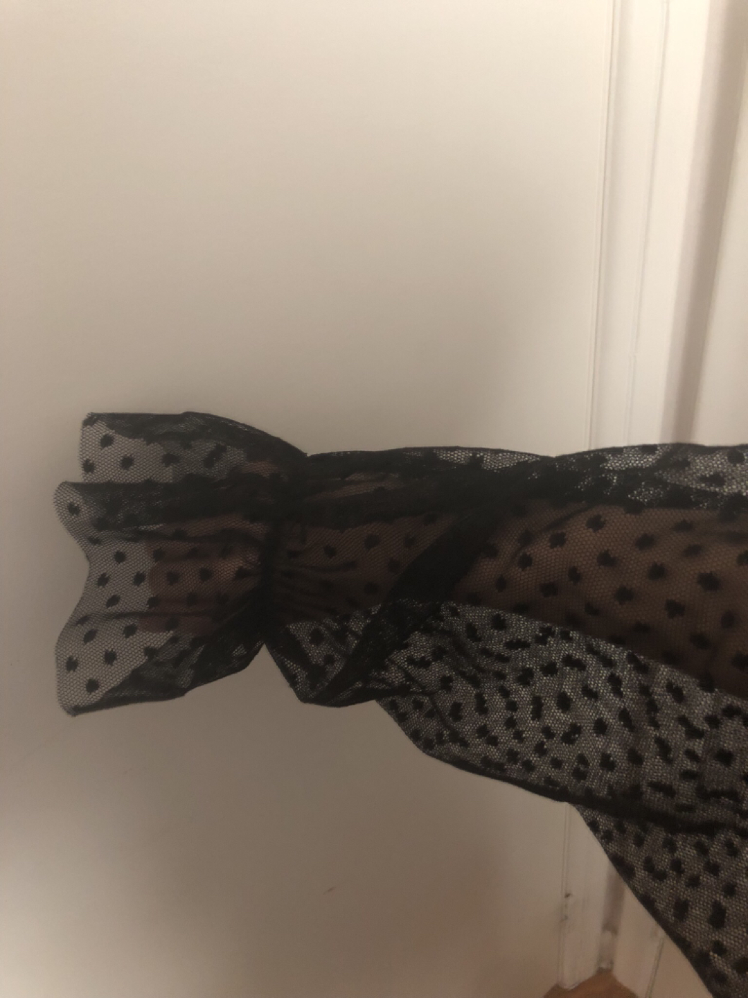 BNWT Zara mesh dot black puff sleeve top image indicator(3)