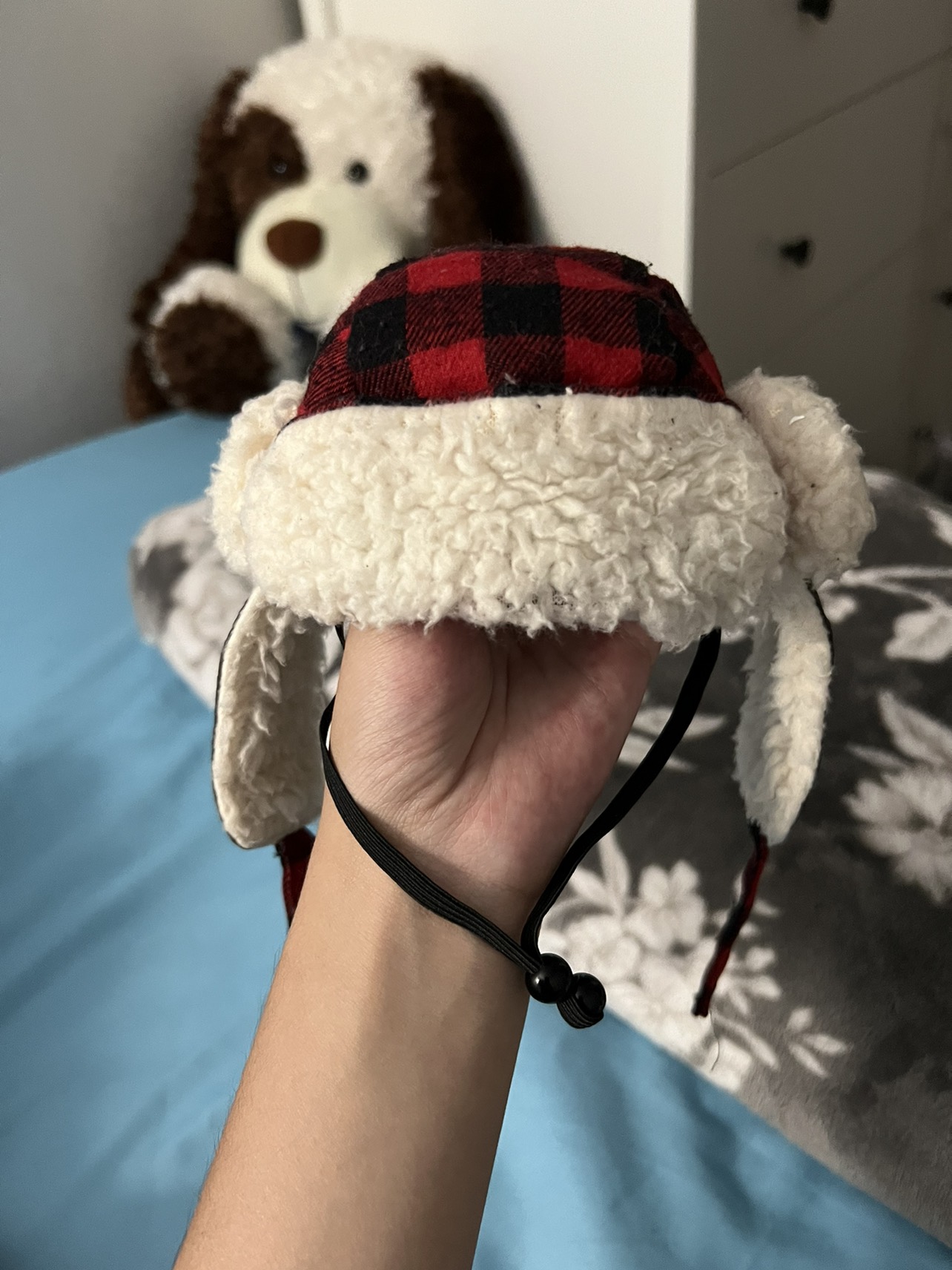 Small dog hat