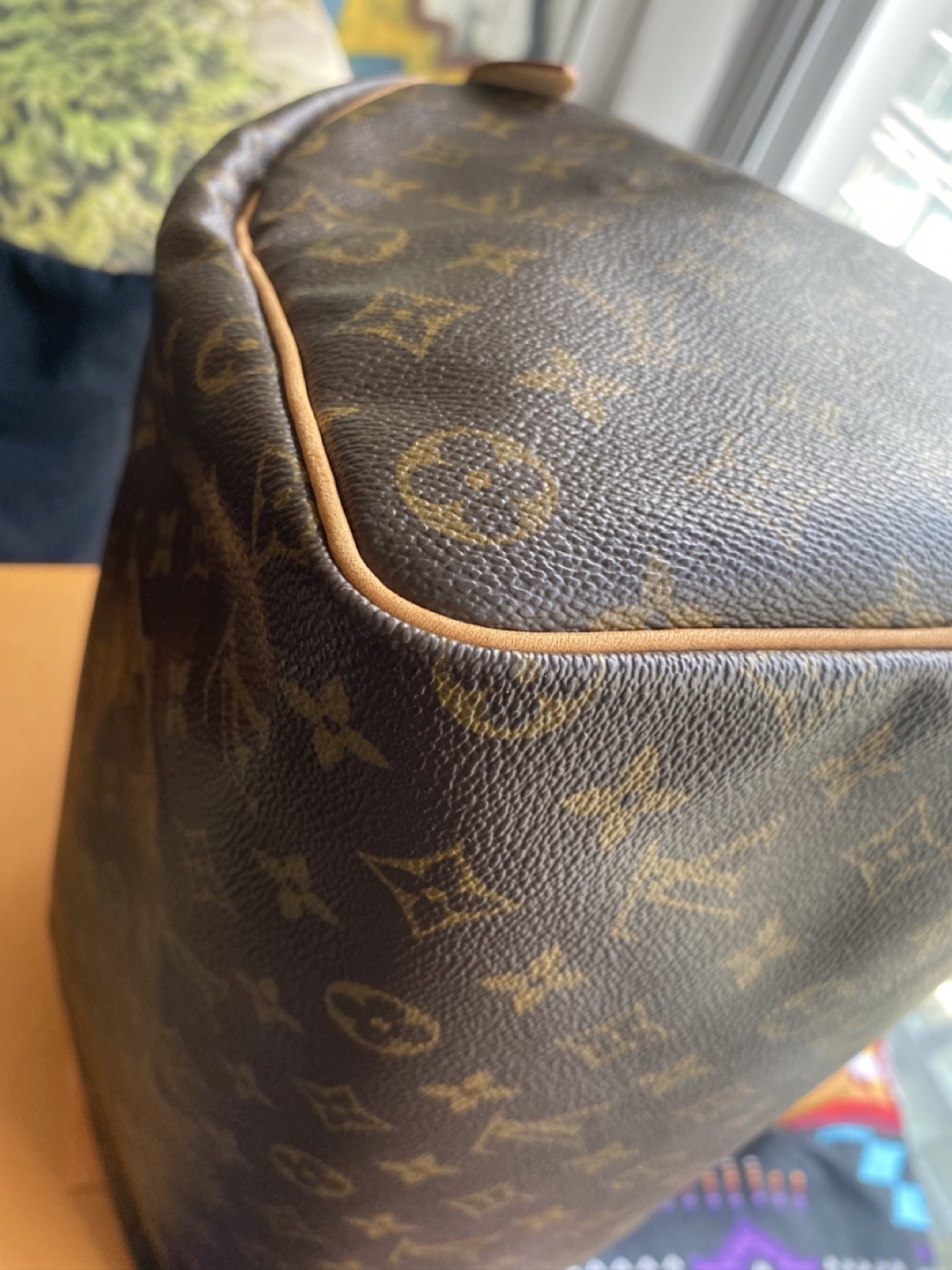 Louis Vuitton Speedy 40 image indicator(9)