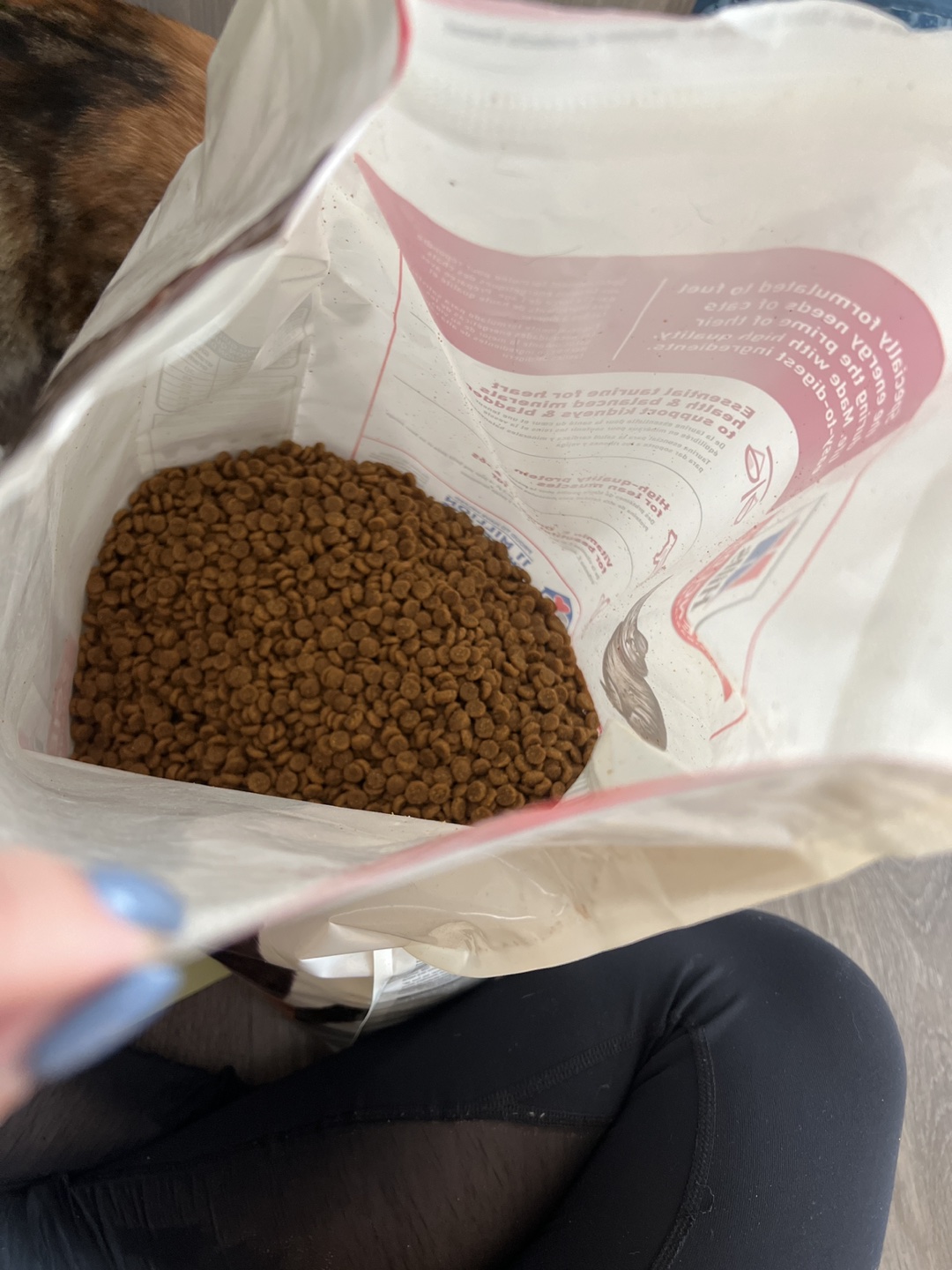 Hills cat food 16lb (half finished) plus treat - photo 2