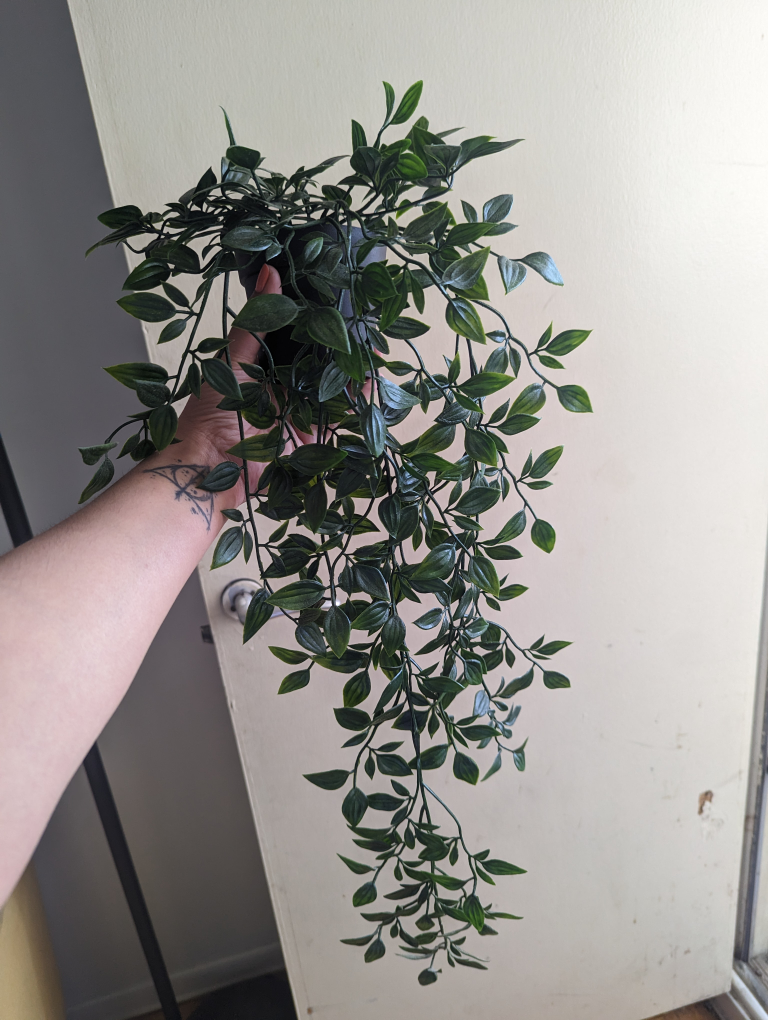 Ikea Hanging Plant 