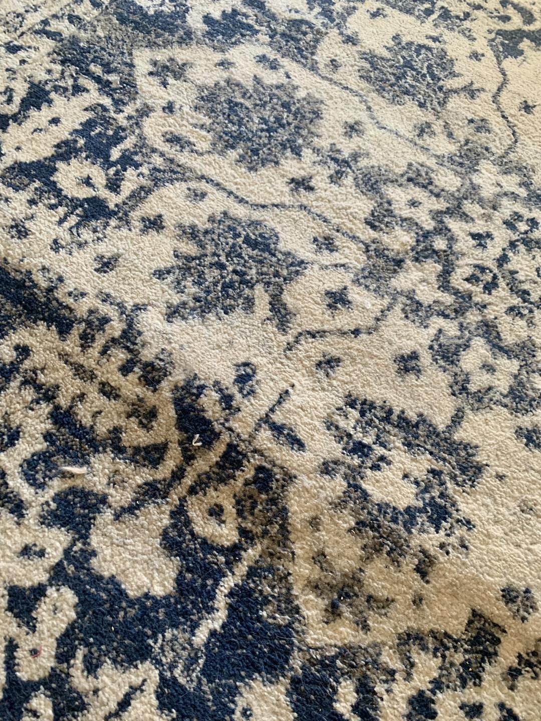 Rug 8’ x 10’ - photo 3