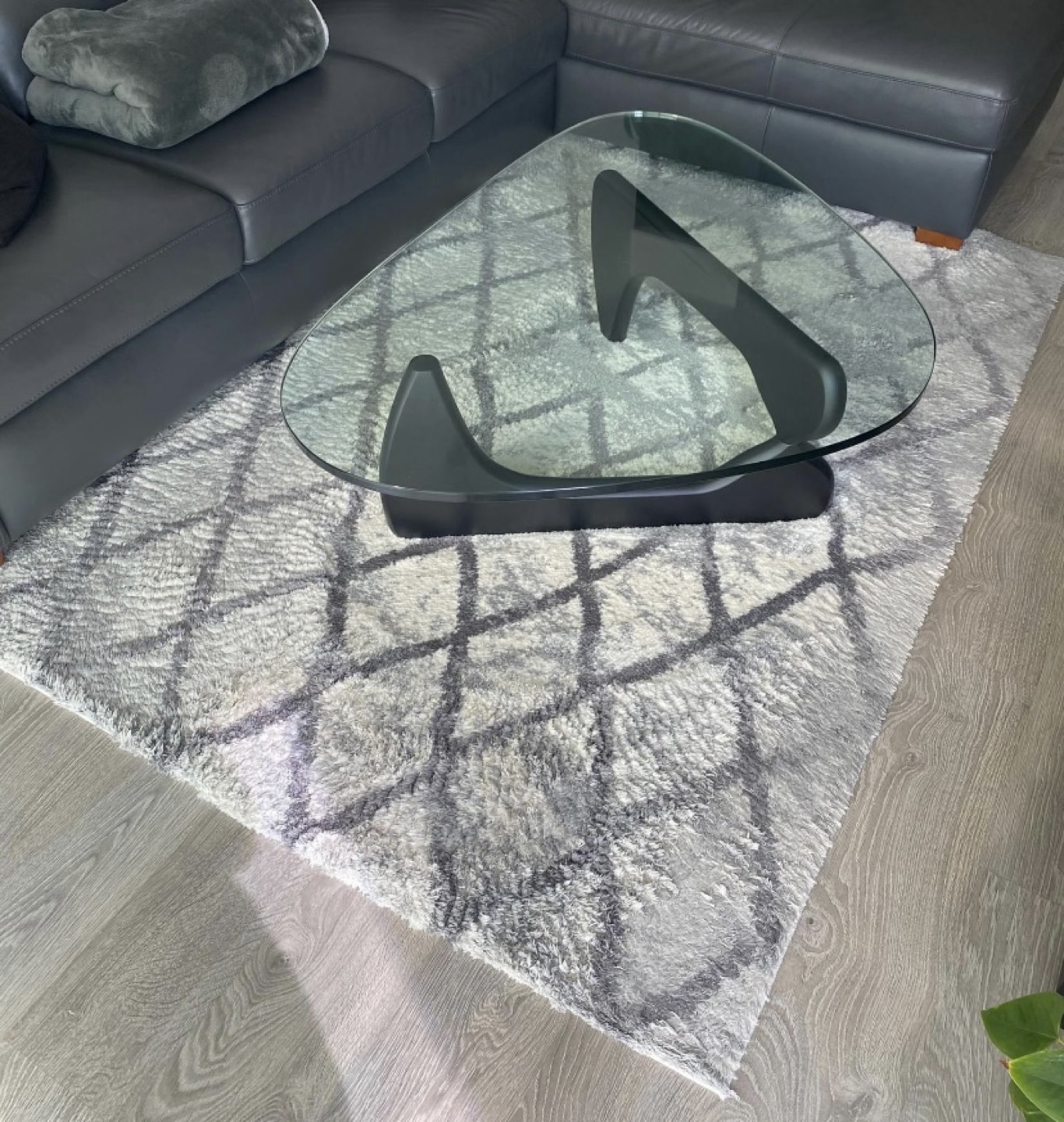 Carpet and slip for sale