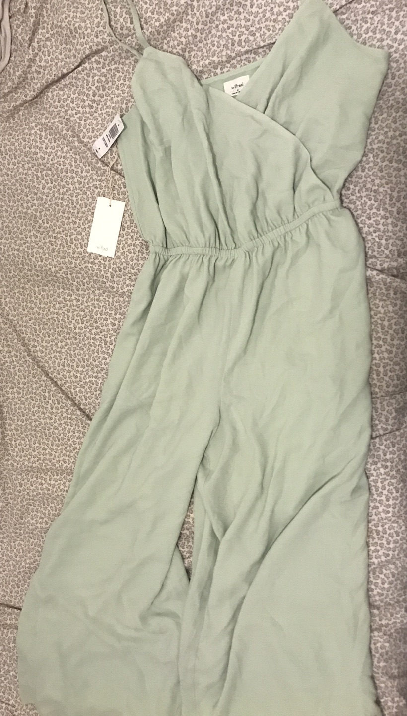 Aritzia Wilfred jumpsuit. Brand new thumbnail