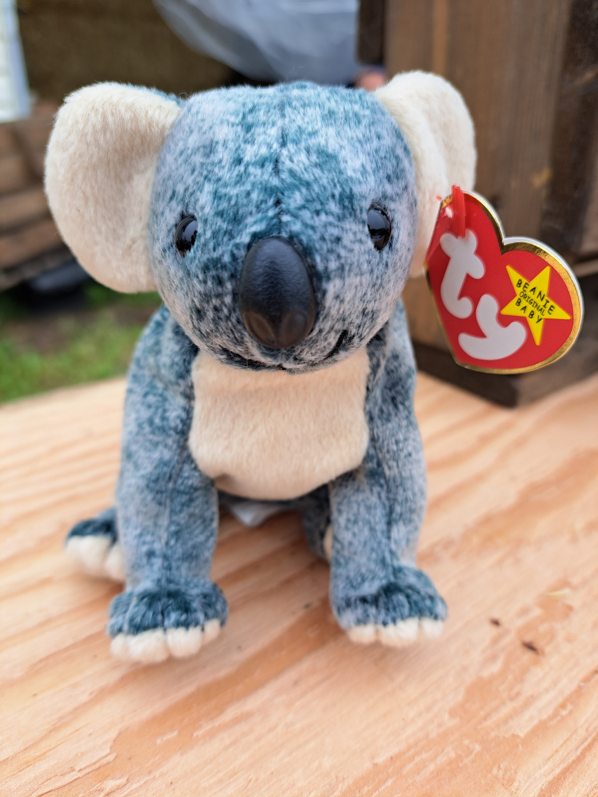 Bennie baby #freecycle thumbnail