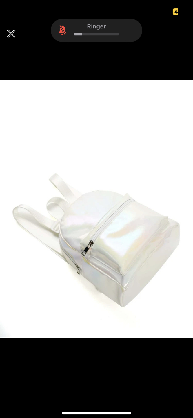 BNIB Holographic mini bag image indicator(4)