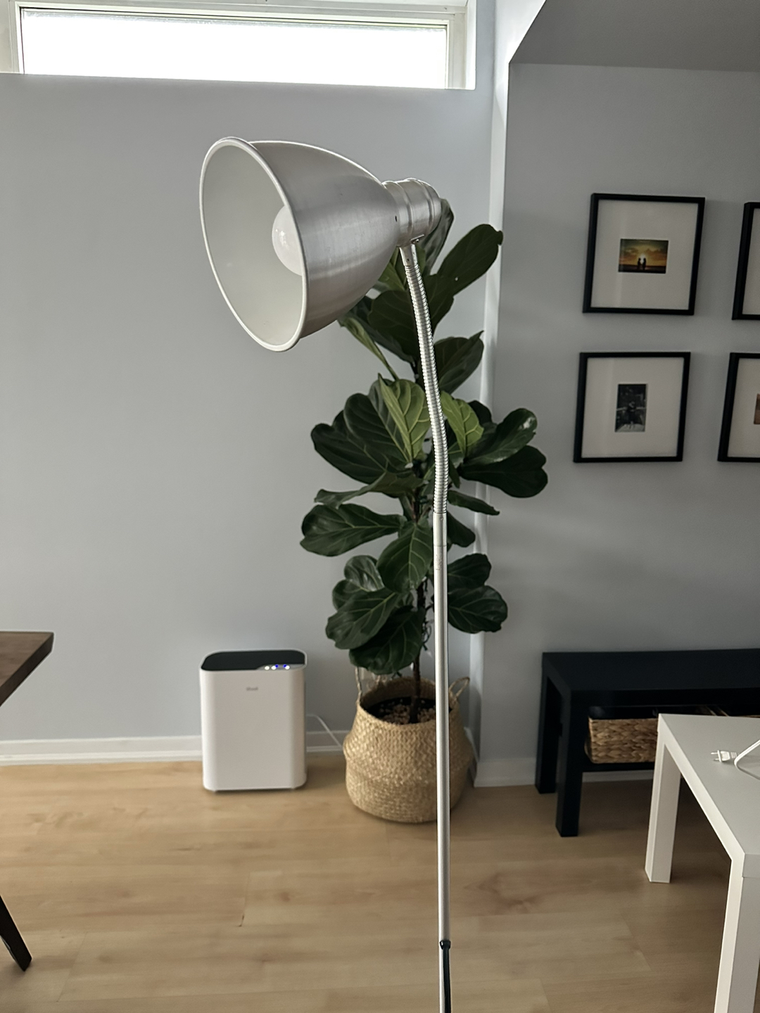 Floor lamp with white bulb image indicator(2)