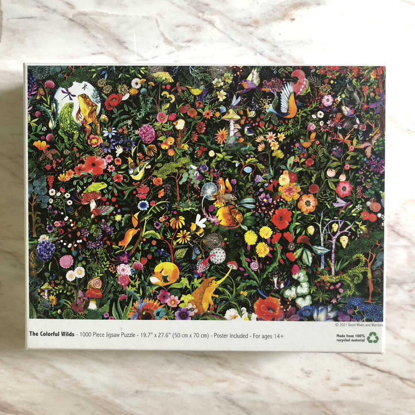 1000 Piece Puzzle