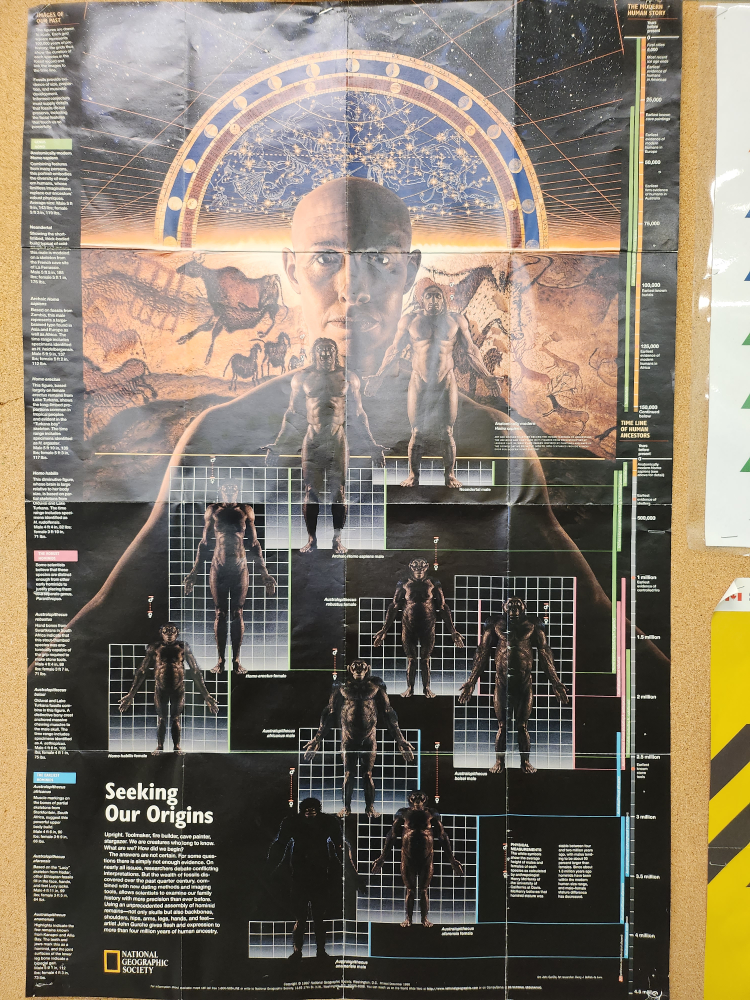 Poster thumbnail
