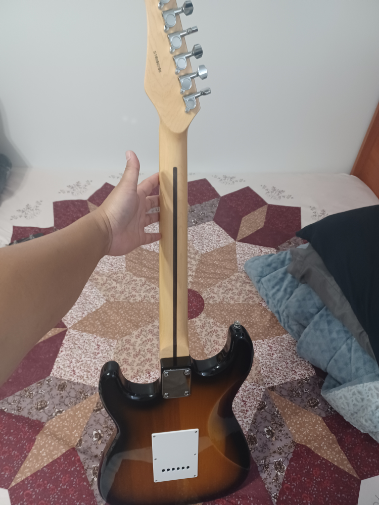 Electric Guitar - photo 4