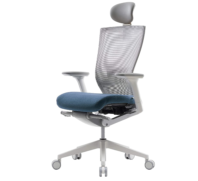 SIDIZ Ergonomic Office Chair