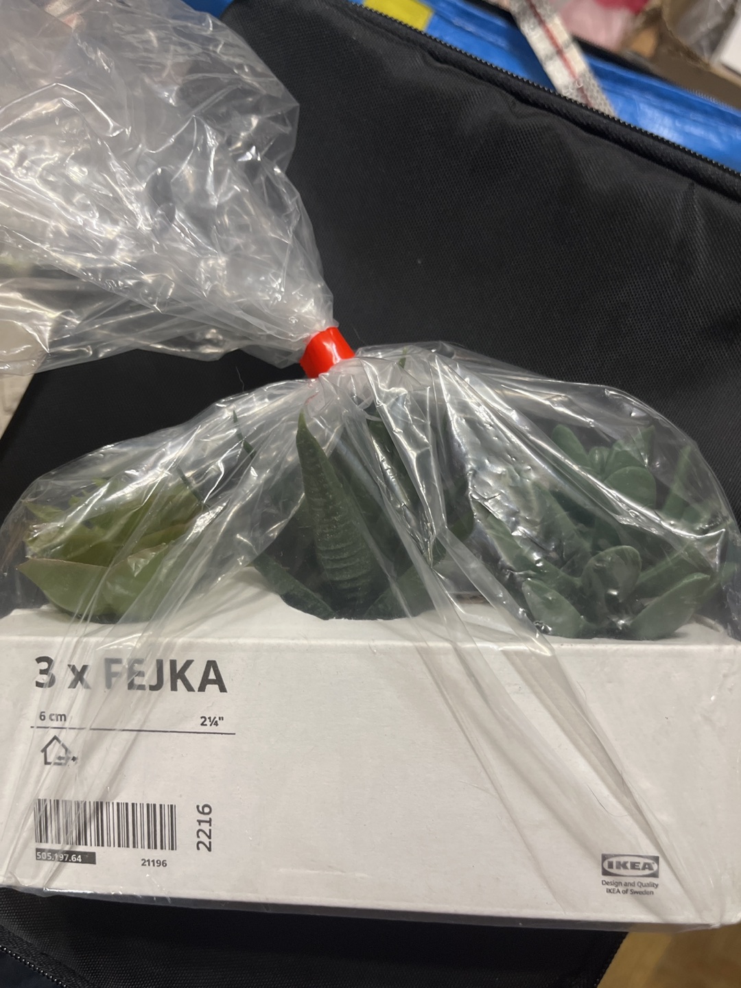 IKEA 3 faux succulents thumbnail
