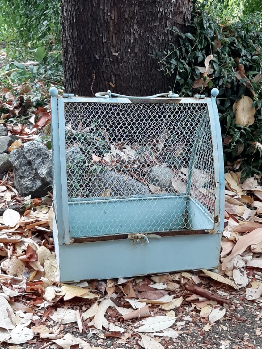 Vintage plant holder image indicator(2)