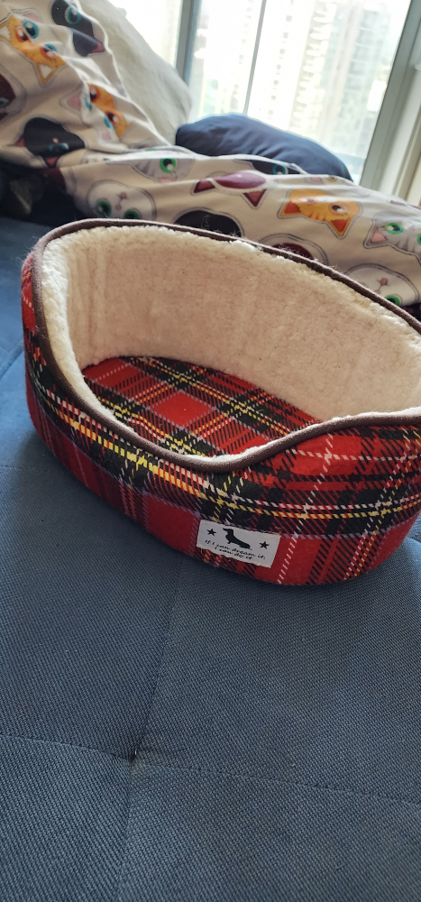 two pet beds