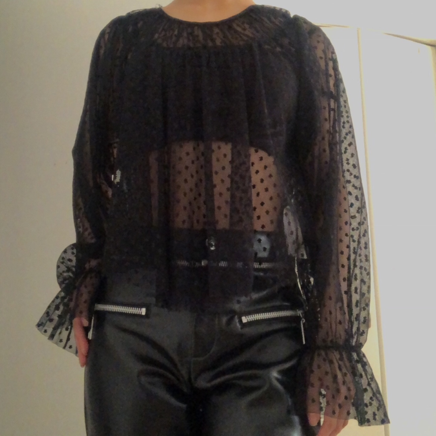 BNWT Zara mesh dot black puff sleeve top image indicator(2)
