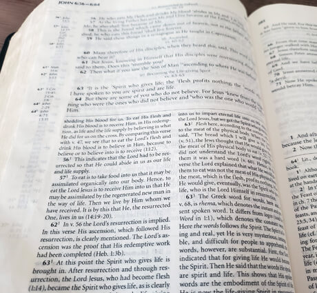 Free New Testament Study Bible image indicator(2)