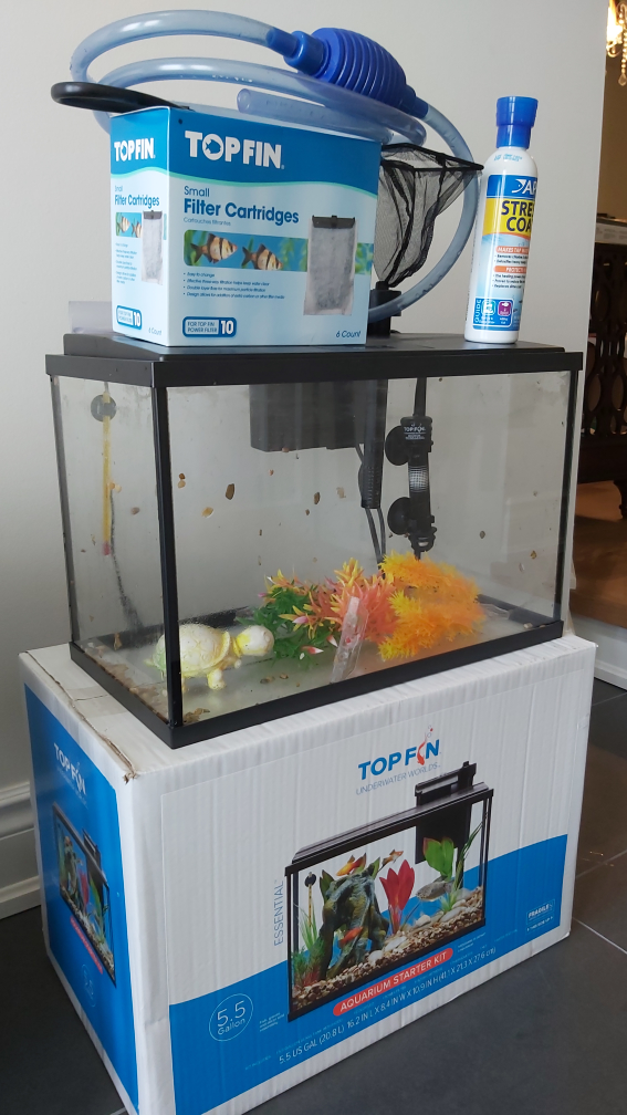 Aquarium Starter Kit