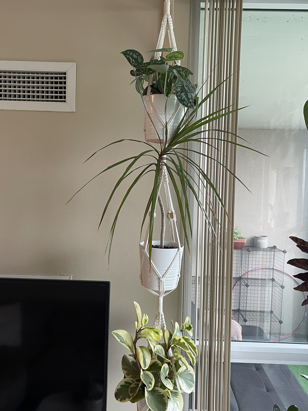 3 tier macrame plant holder with plants thumbnail