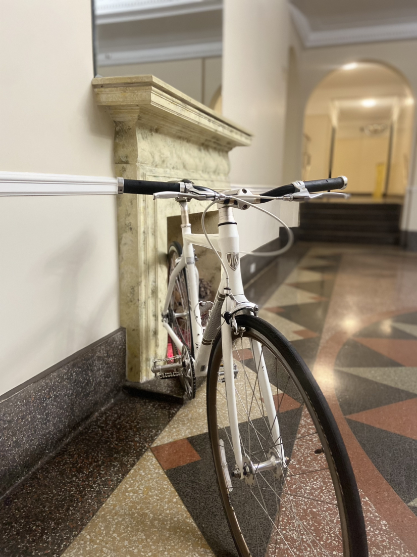 TREK BIKE (Ultra Light) Single speed - photo 5
