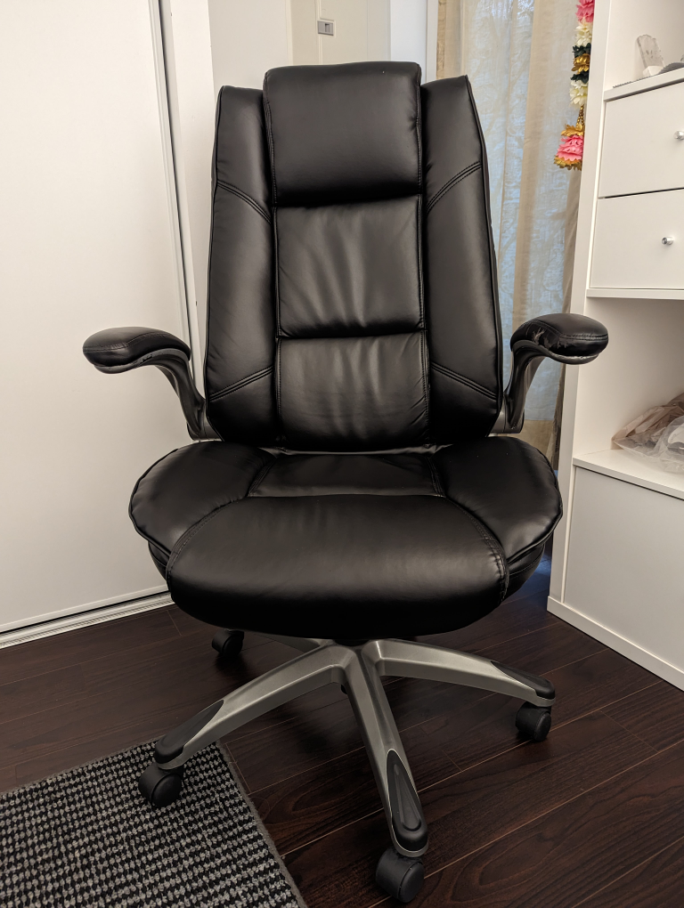 Ergonomic Office Chair