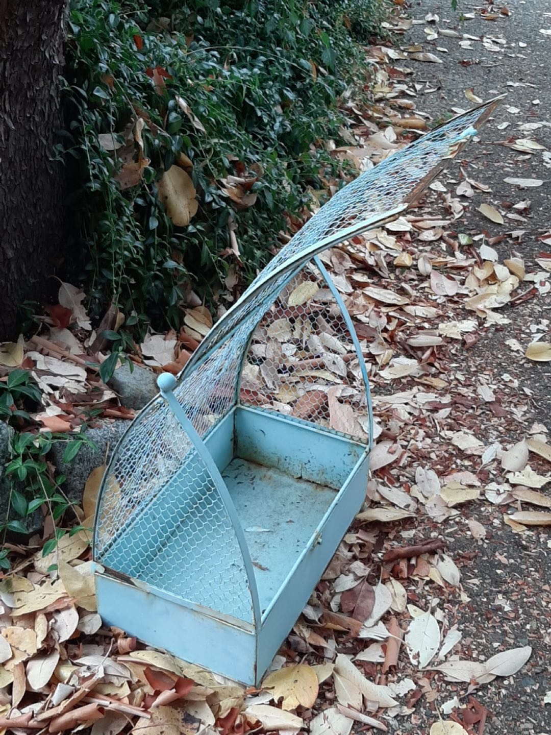 Vintage plant holder image indicator(3)