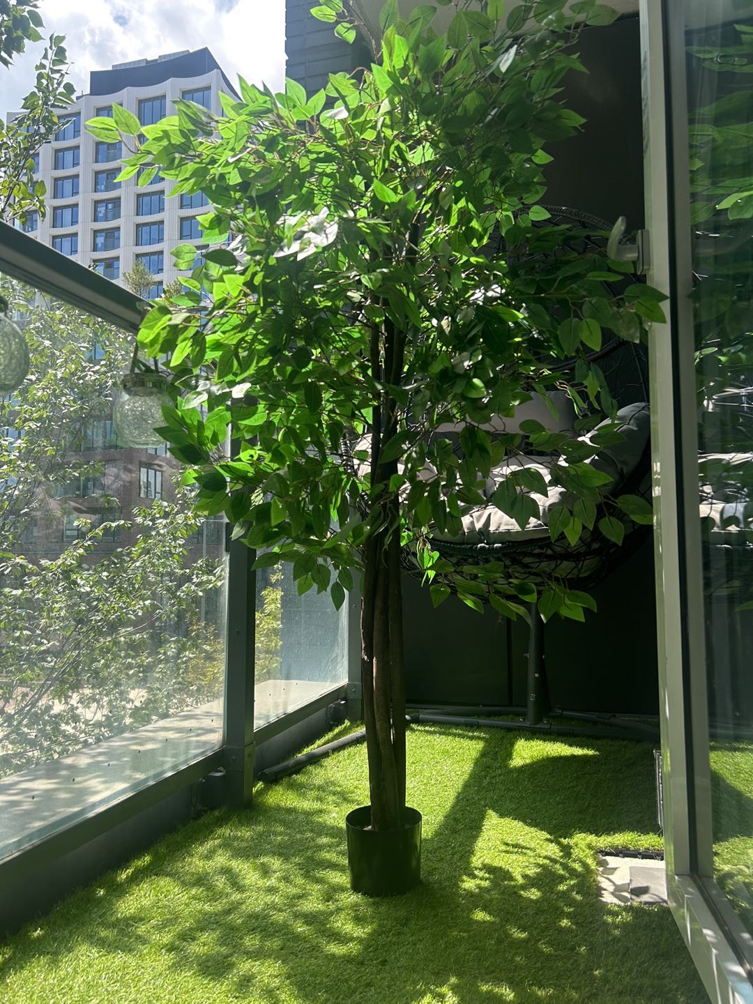 6 ft. Ficus Artificial Tree and Palm, Greenery Realistic thumbnail