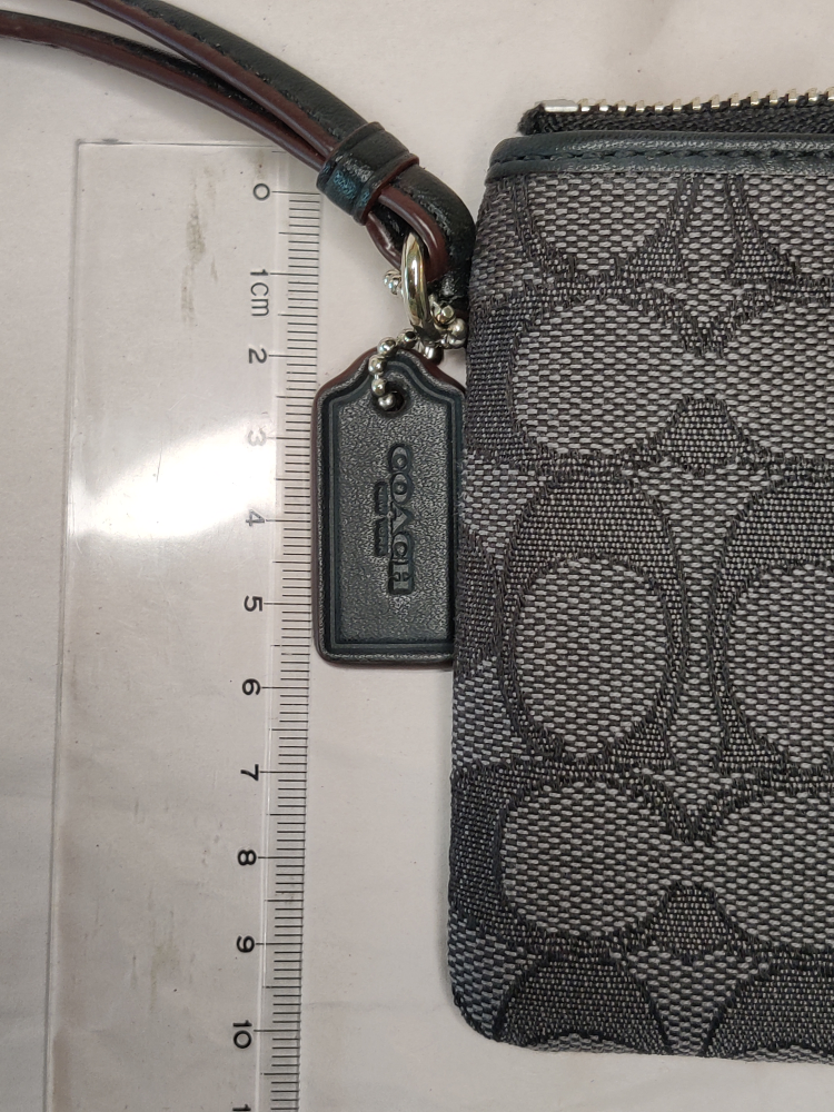 Coach signature waistlet image indicator(3)