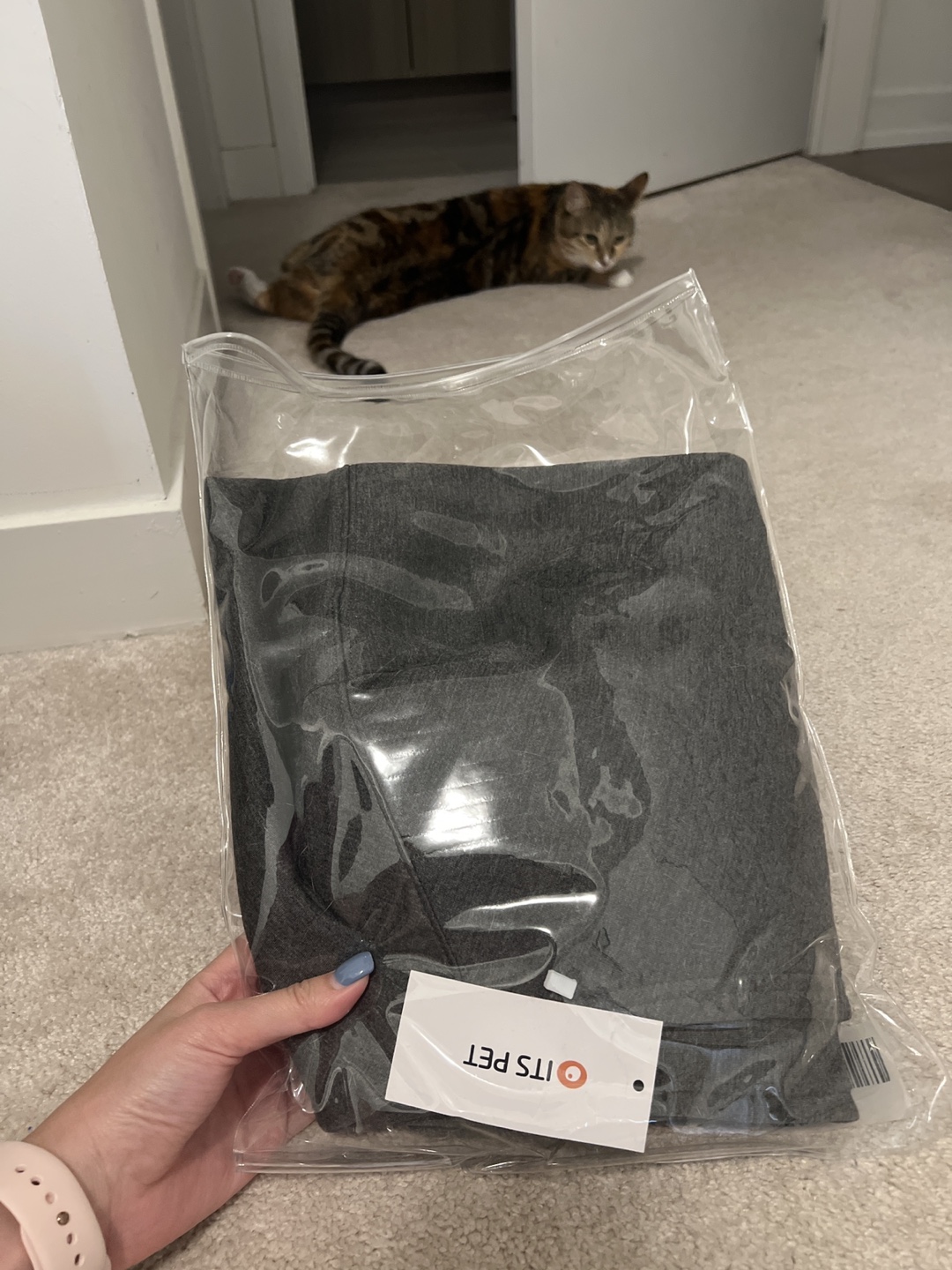 Pet side carrier