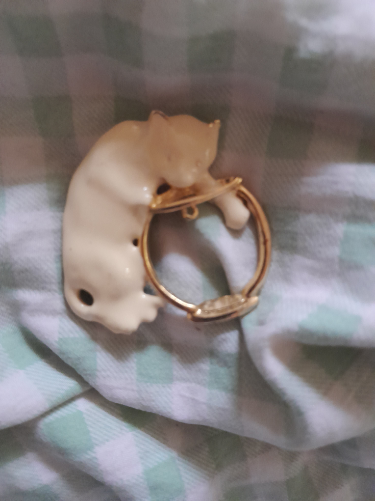 #freecycle