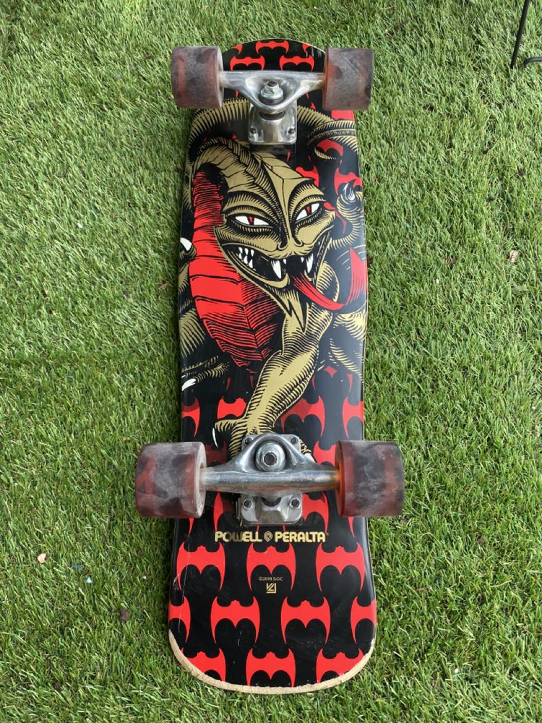 Cruiser Skateboard