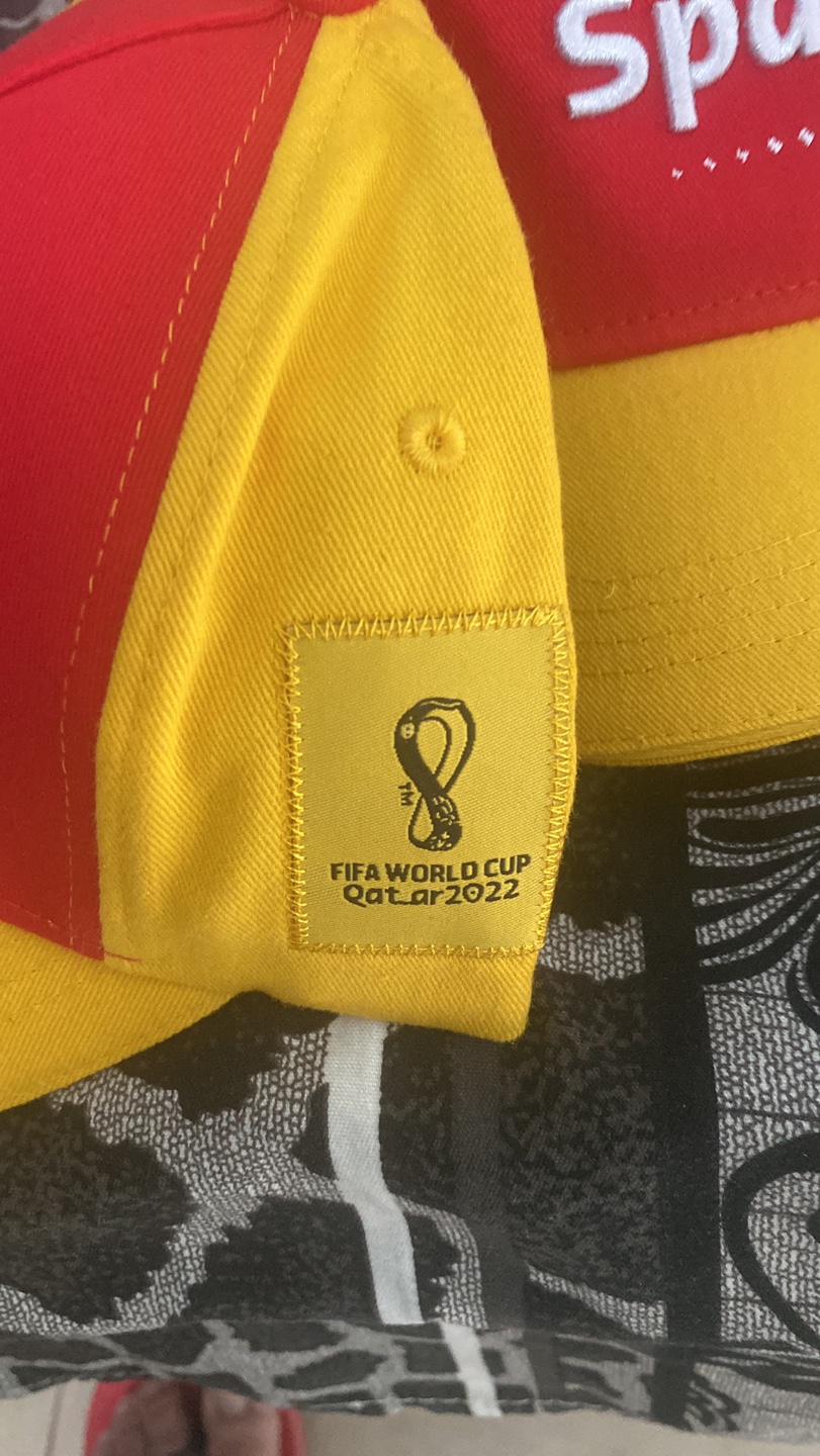 World Cup caps image indicator(4)