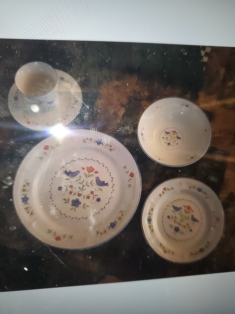 Dish set image indicator(7)