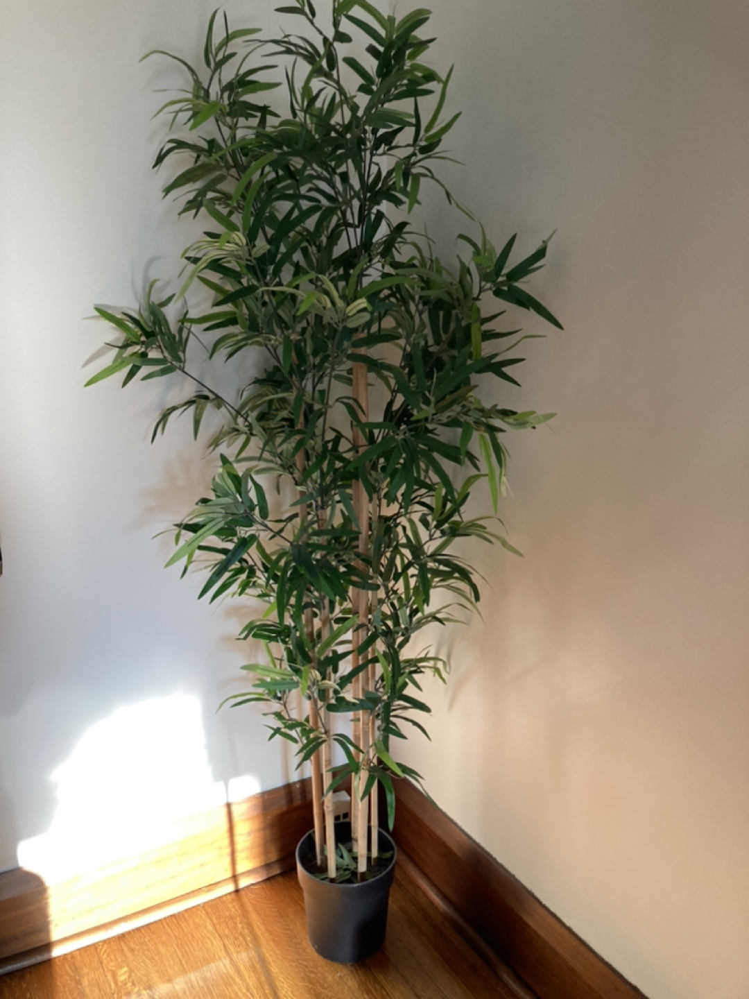 Artificial bamboo tree from IKEA thumbnail