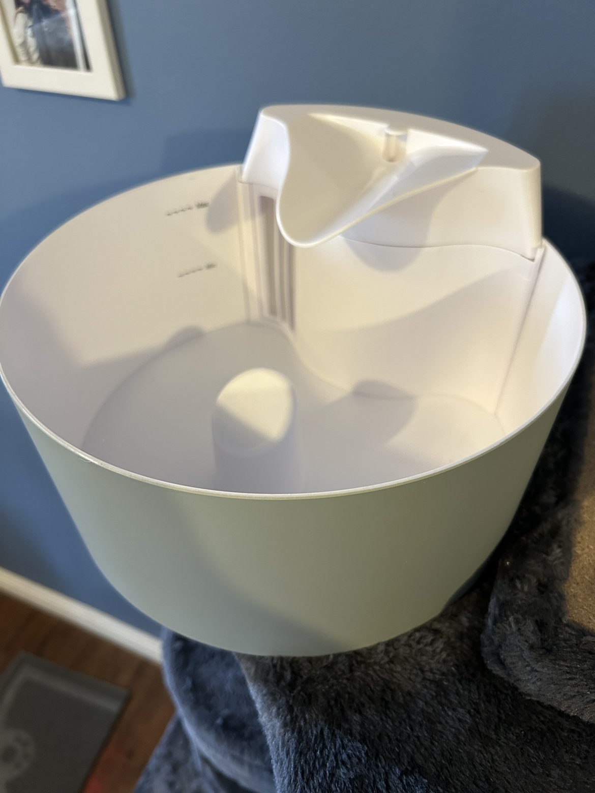 Cat/Dog Flowing Fountain