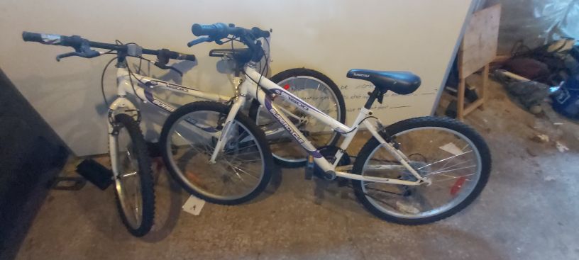 2 young adult bikes thumbnail