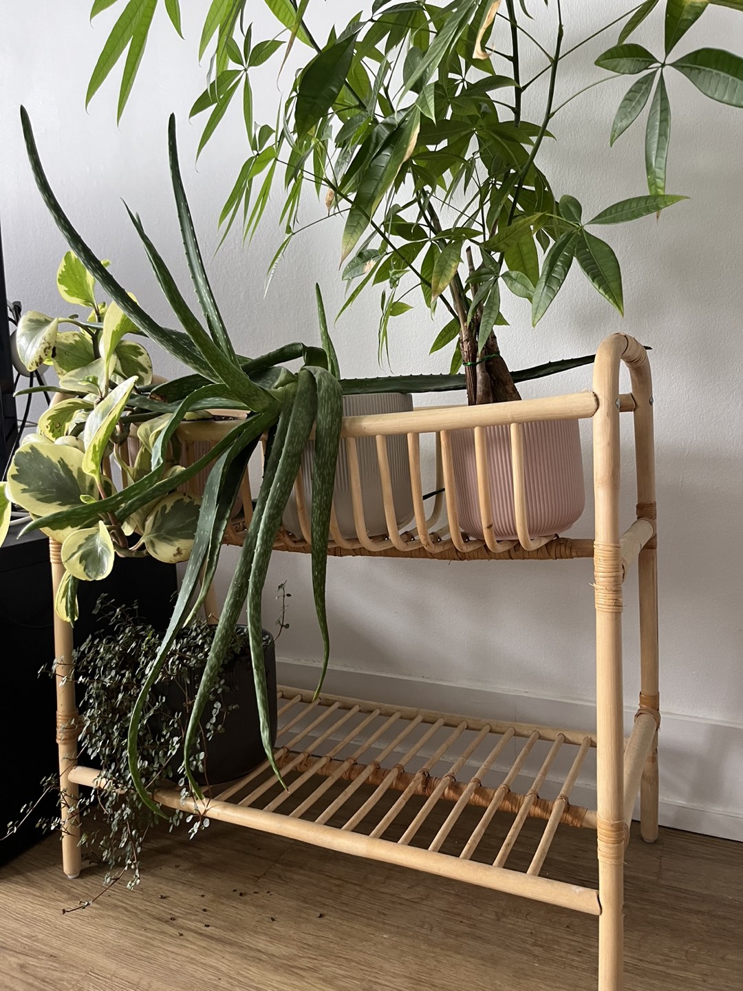 IKEA BUSKBO Plant Stand