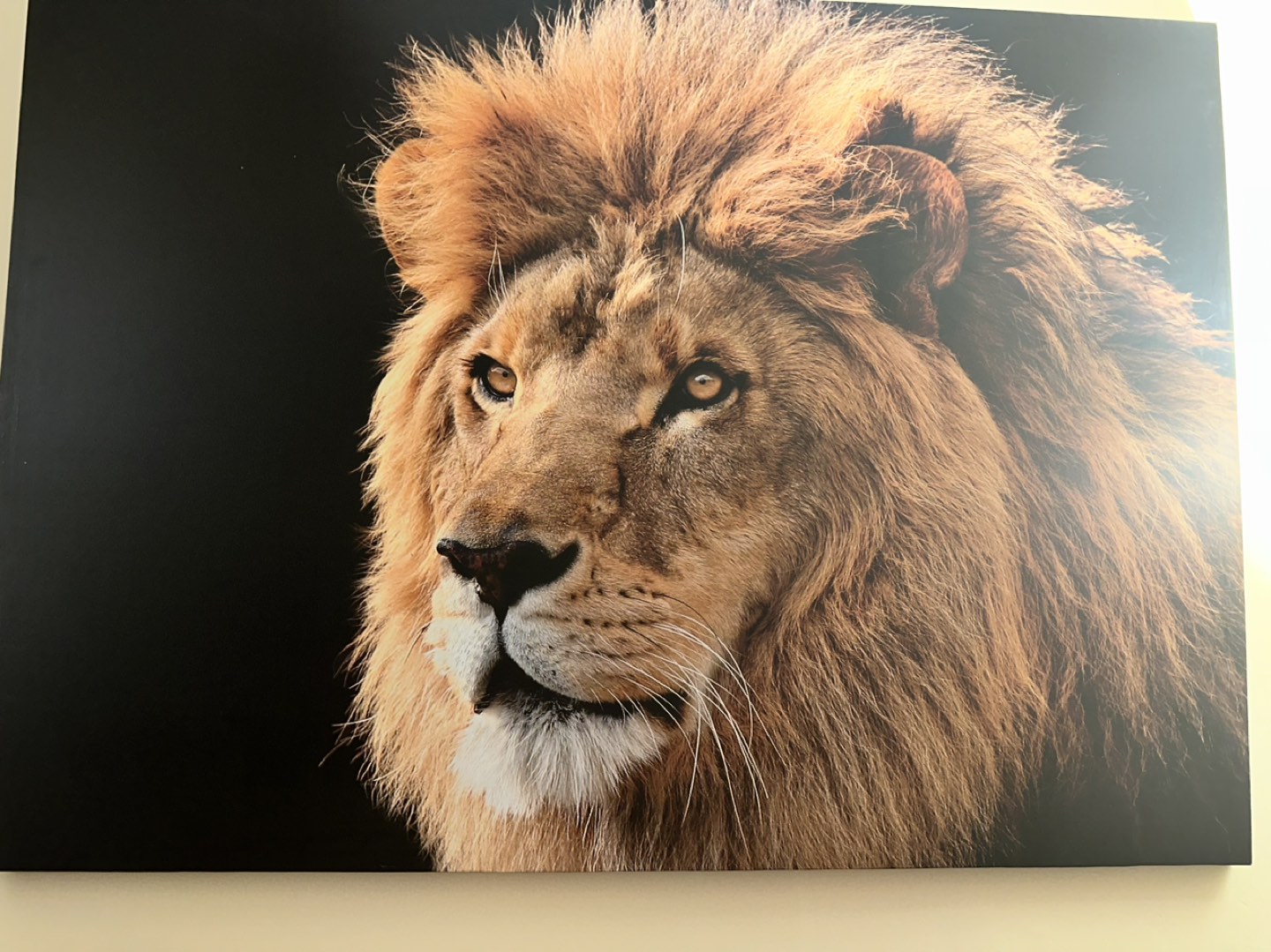 Lion Leo Inspired Wall Art