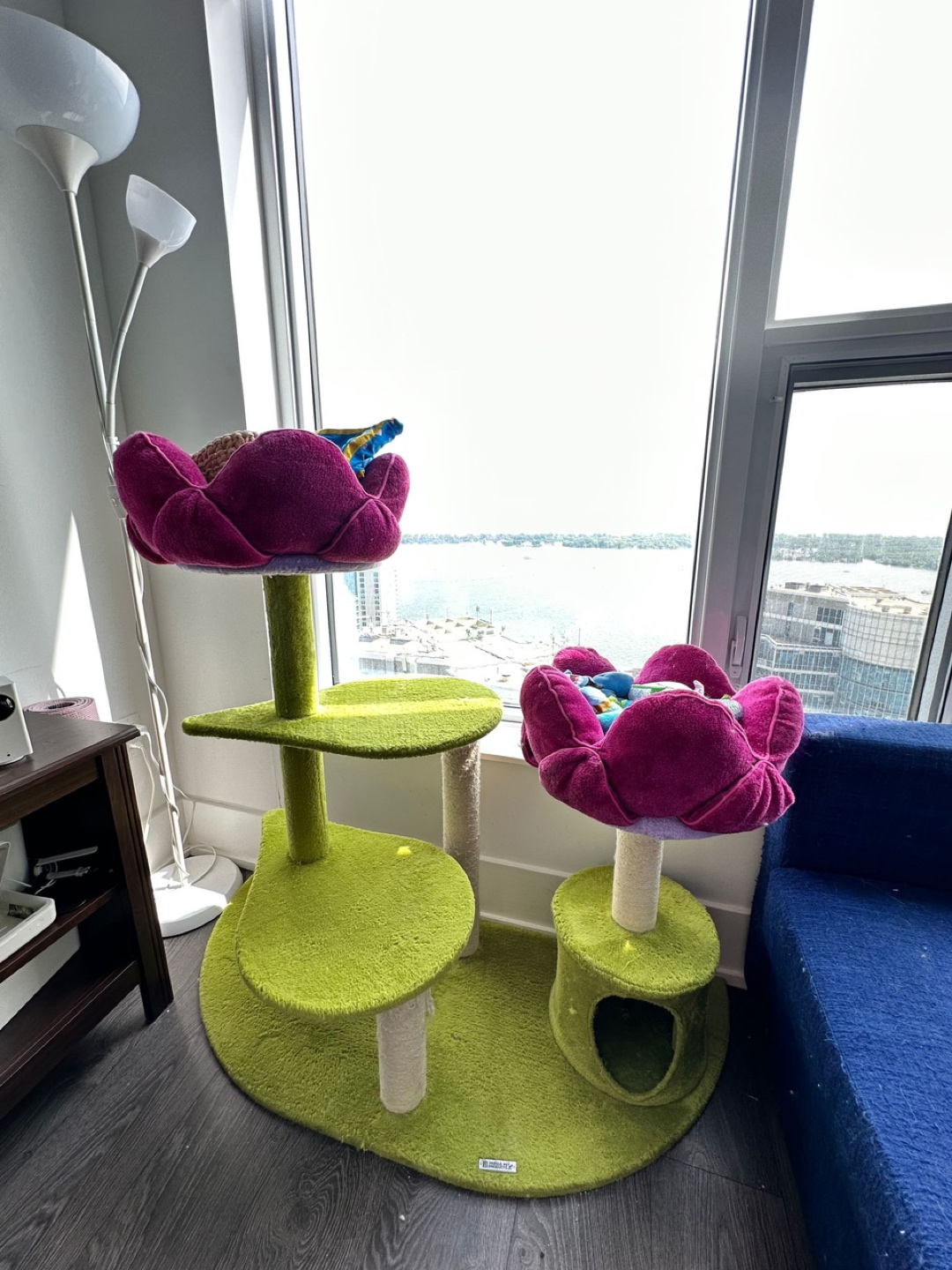 Flower cat condo - photo 2