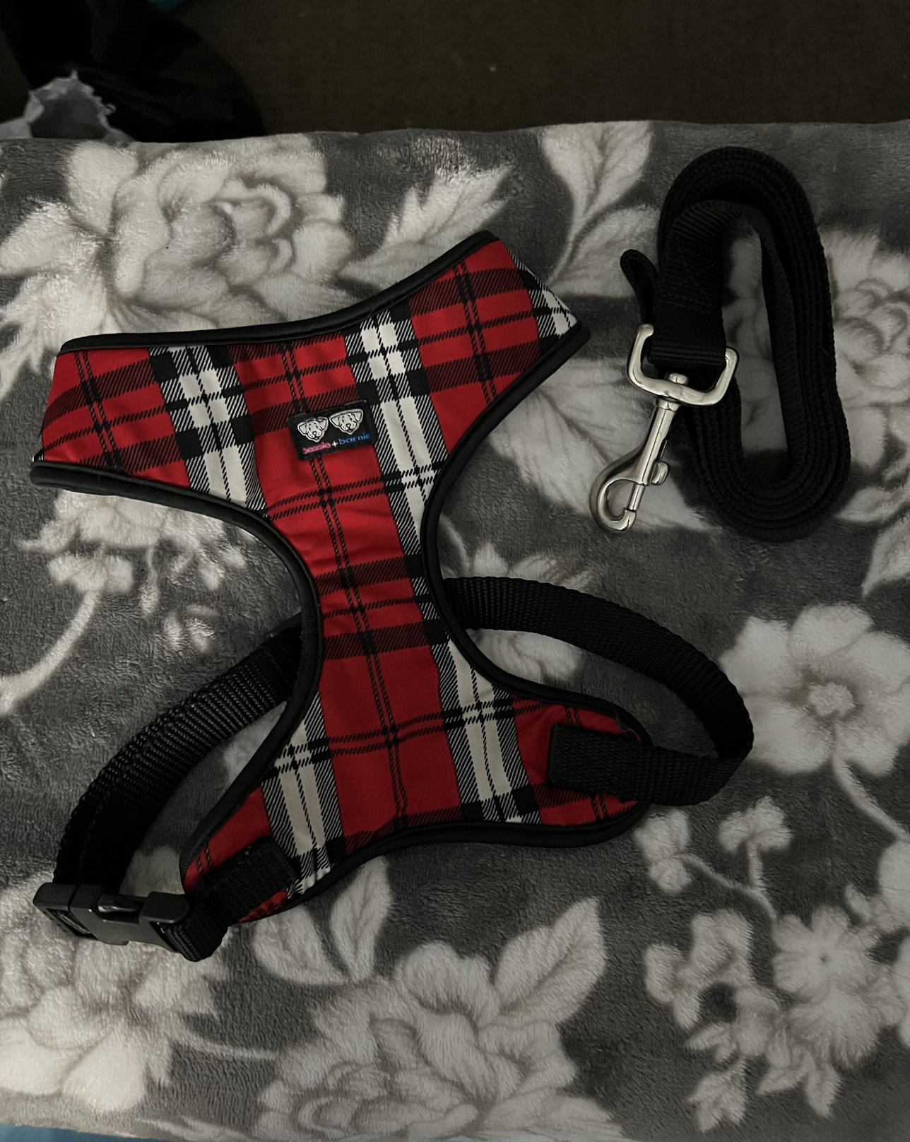 Large Bessie and Barnie dog harness with leash