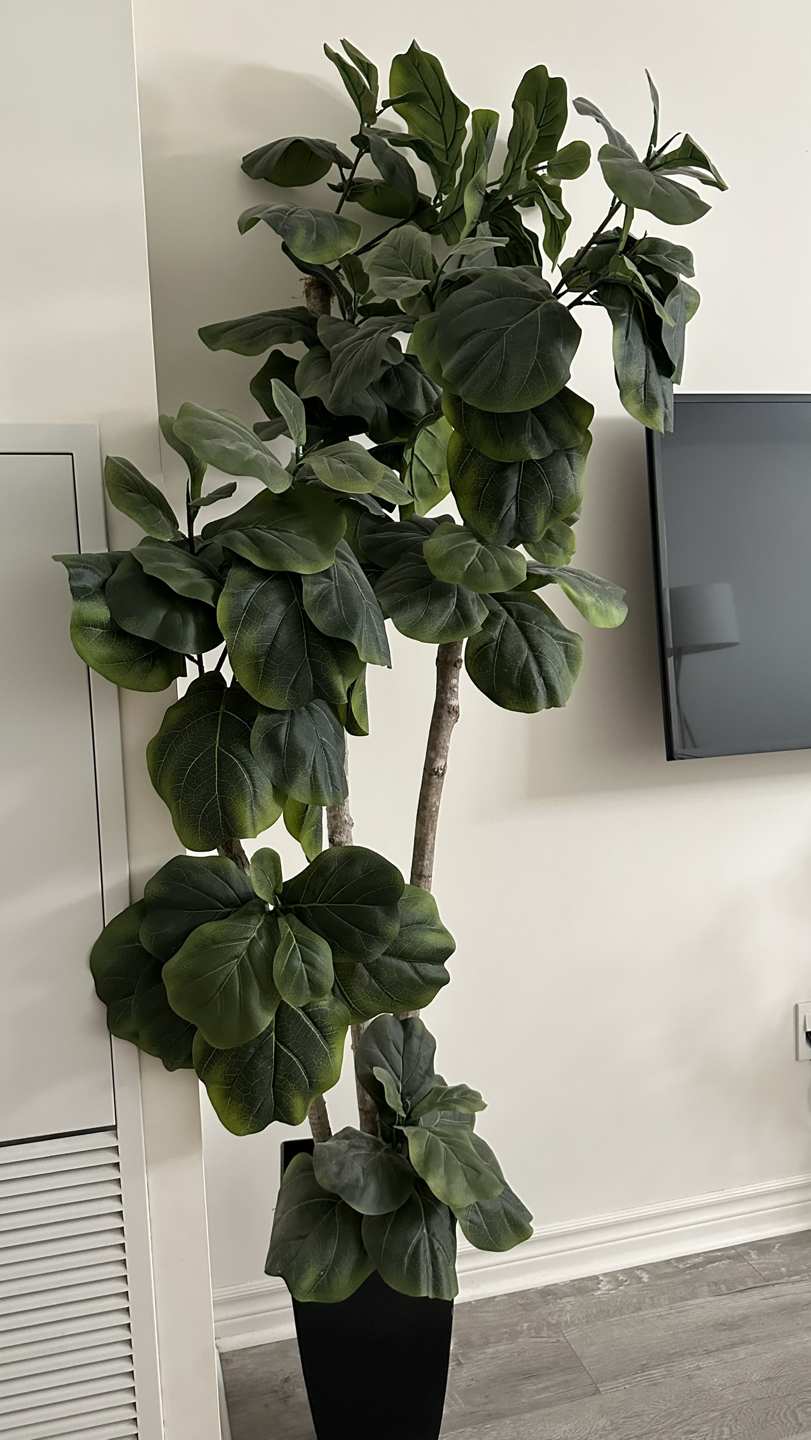 Tall Artificial Fiddle Leaf