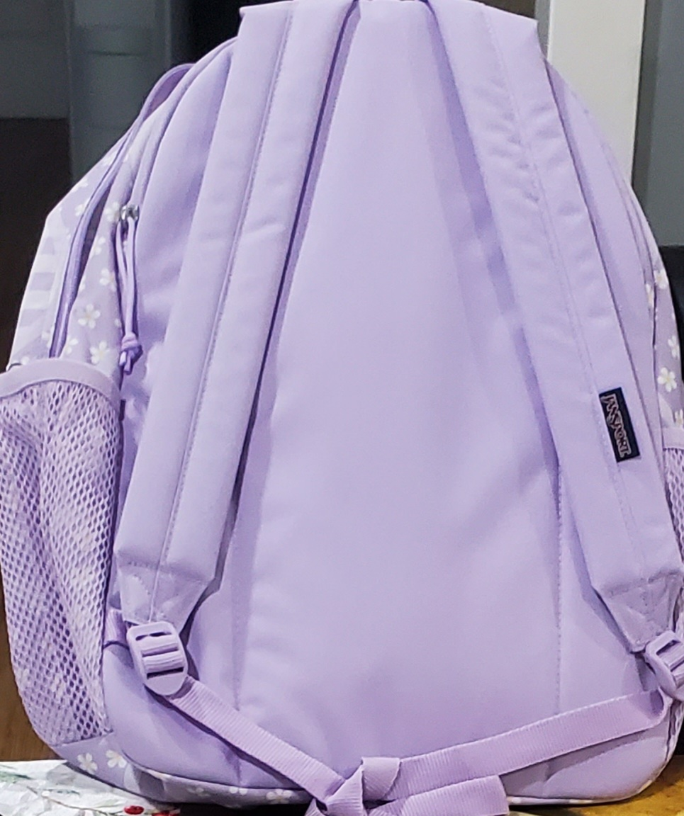 JanSport new backpack - photo 3
