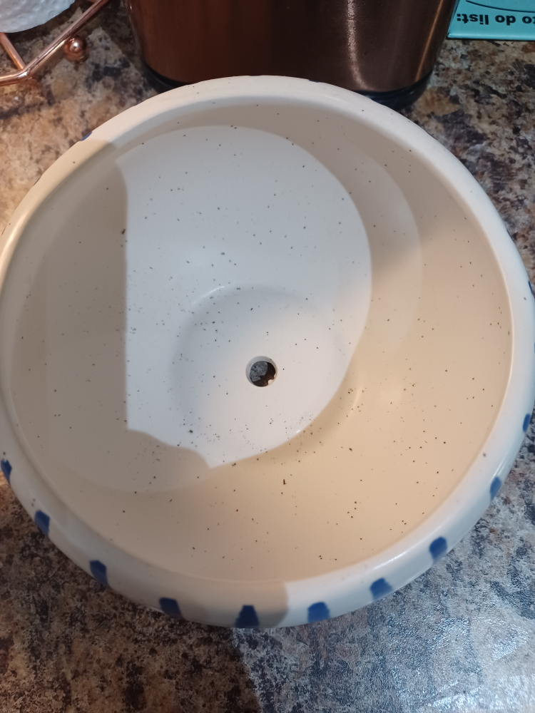 Brand New Planter With Drainage Hole image indicator(2)