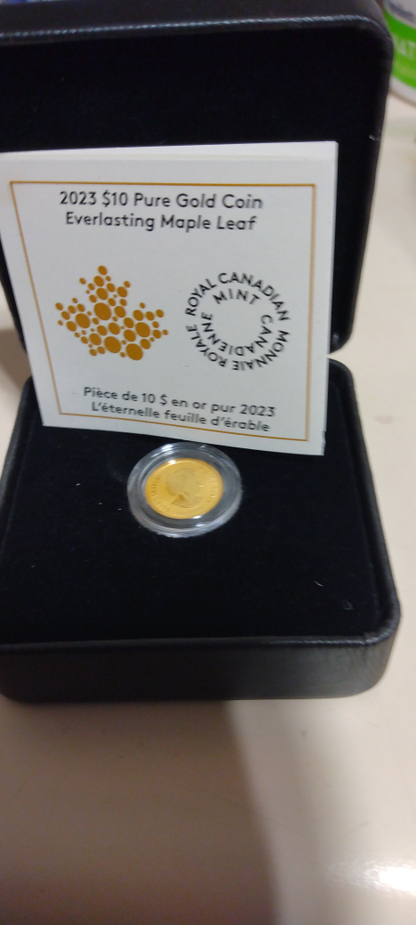 1/20  oz.  2023  Maple leaf Everlasting Gold coin 99.99% pure thumbnail